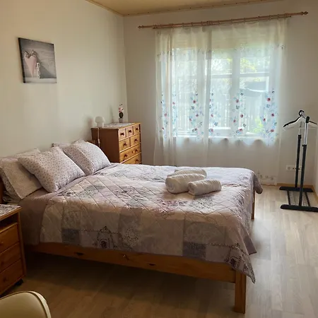 Papli Near The Pärnu