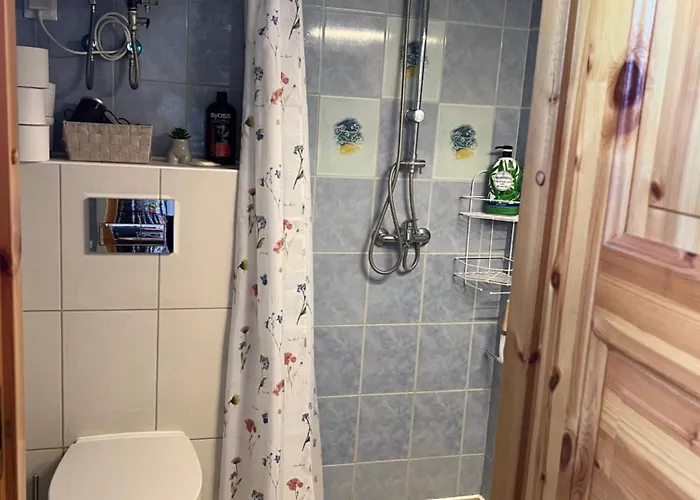 Papli Near The Pärnu